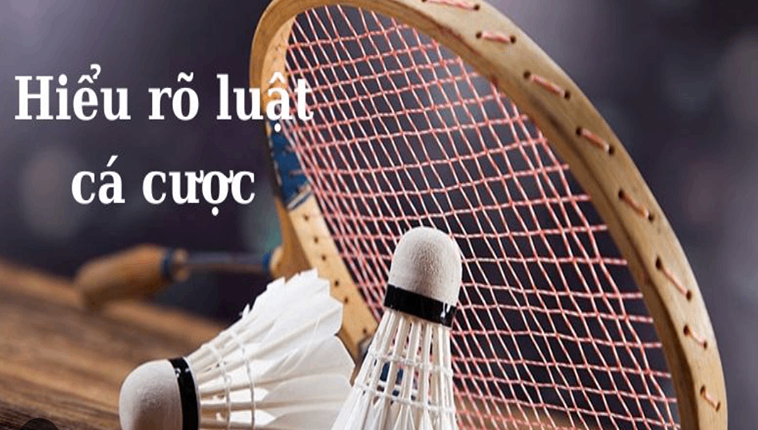 Cá Cược Cầu Lông Tại CROWN88: Bí Quyết Chơi Vui